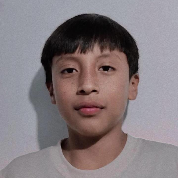 User Image